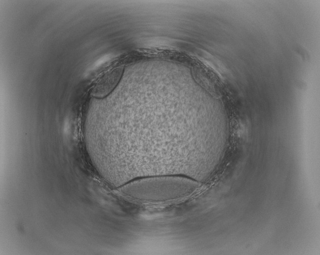 X0000115380965200911171432