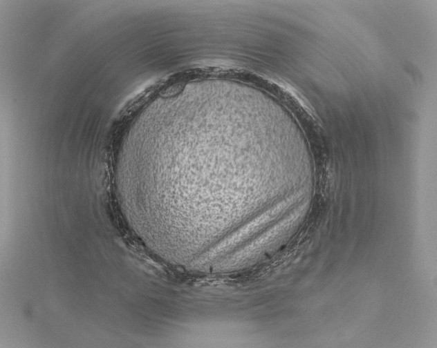 X0000115380967200911171432