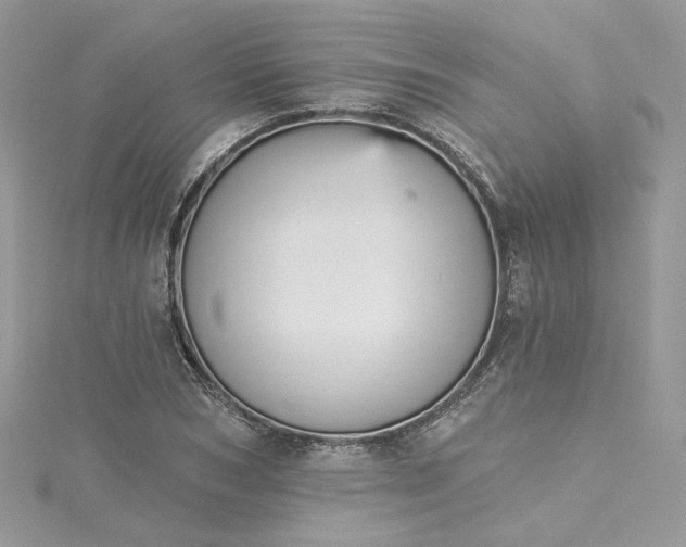 X0000115380978200911171432