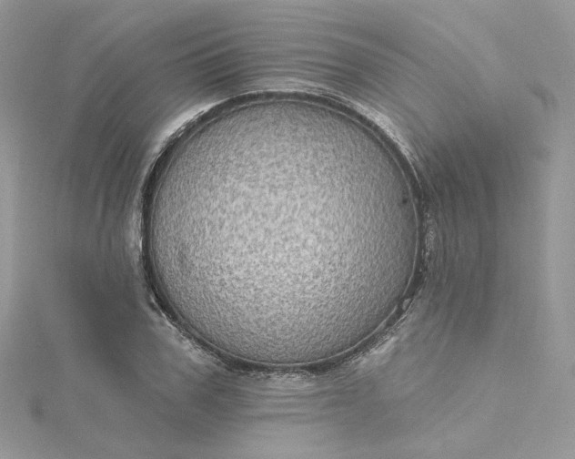 X0000115380979200911171432