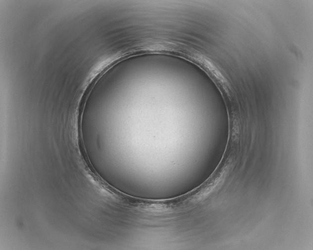 X0000115380986200911171431