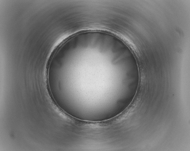 X0000115380990200911171431