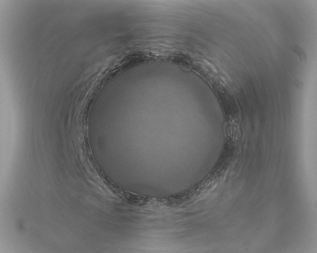 X0000115381009200911171431