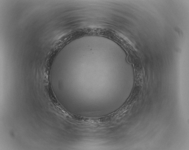 X0000115381013200911171431