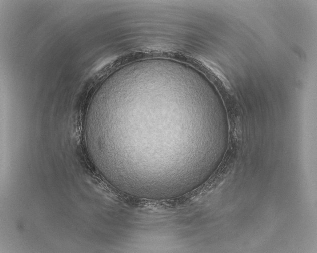 X0000115381015200911171431