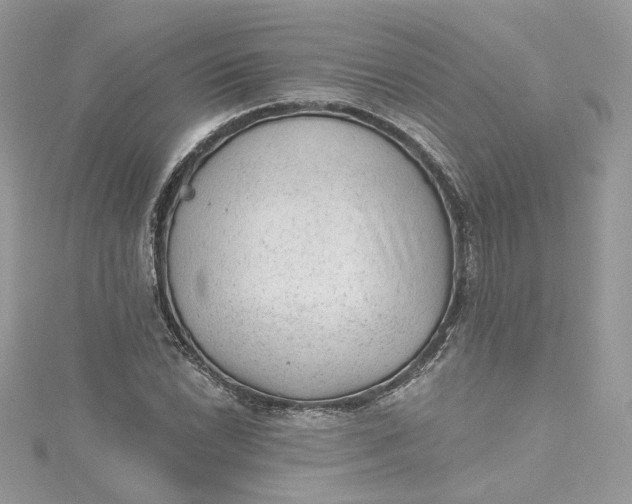 X0000115381022200911171431