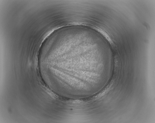 X0000115381023200911171431