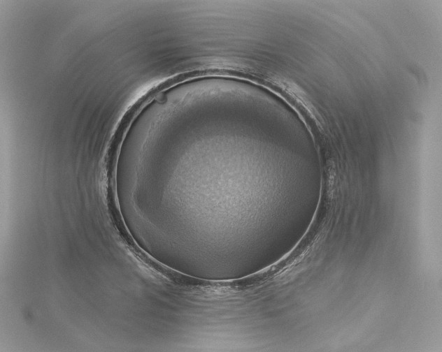 X0000115381024200911171431