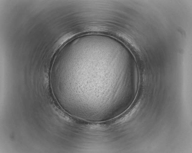 X0000115381025200911171431