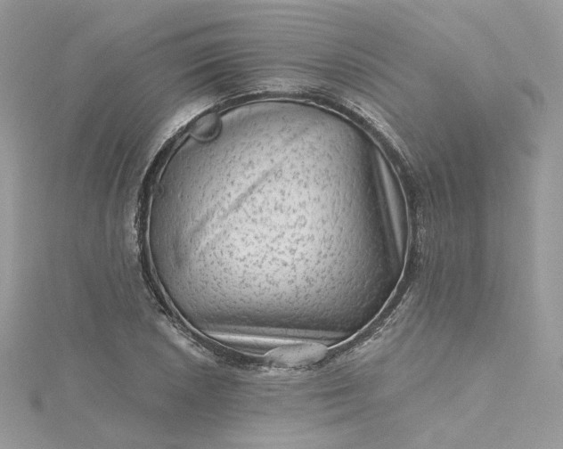 X0000115381026200911171431