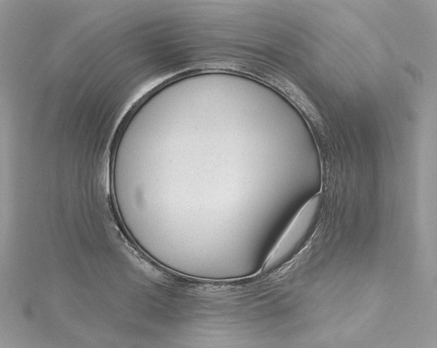 X0000115381036200911171431