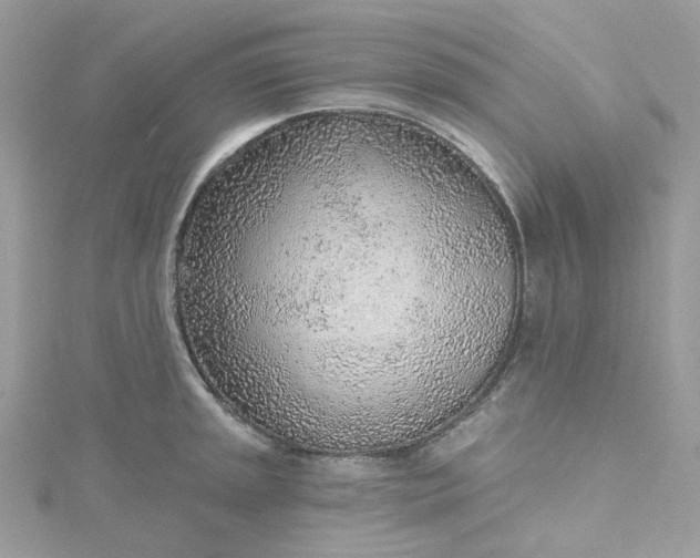 X0000115381045200911171431