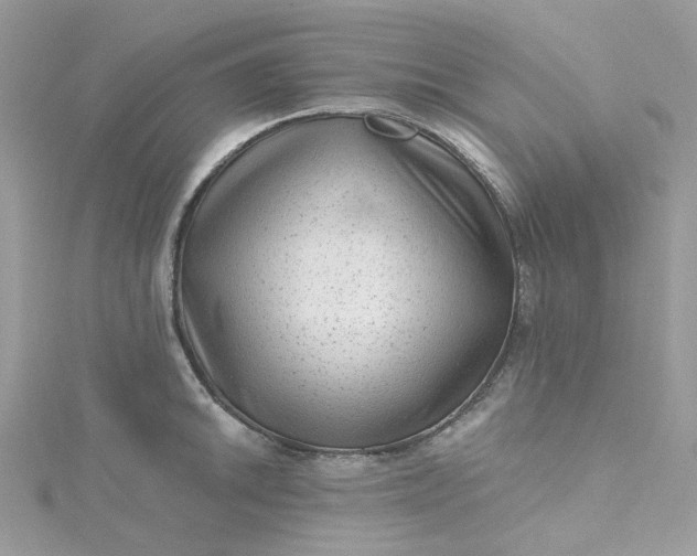 X0000115381046200911171431