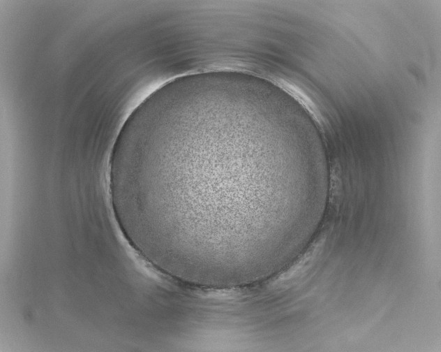 X0000115381047200911171431
