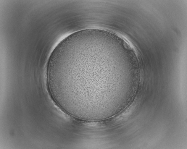 X0000115381048200911171431