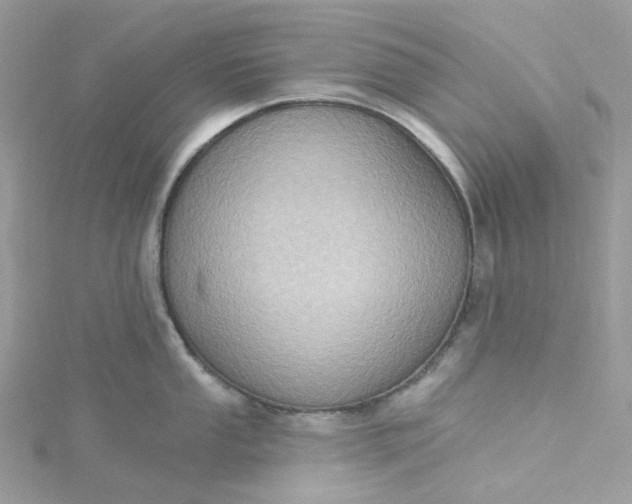 X0000115381053200911171431