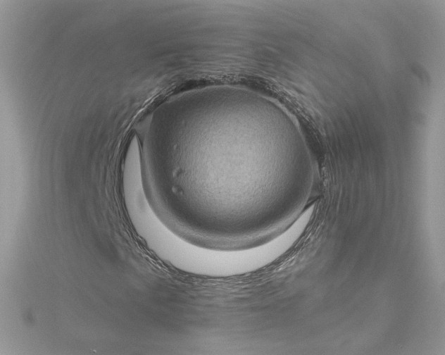 X0000115381057200911171431