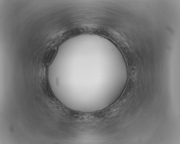 X0000115381061200911171430
