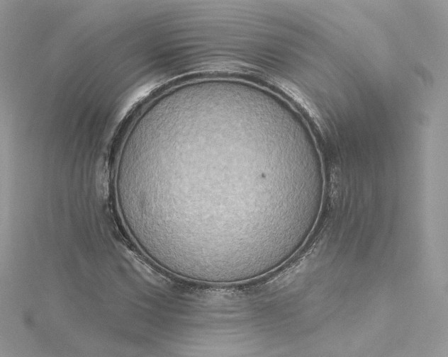 X0000115381067200911171430