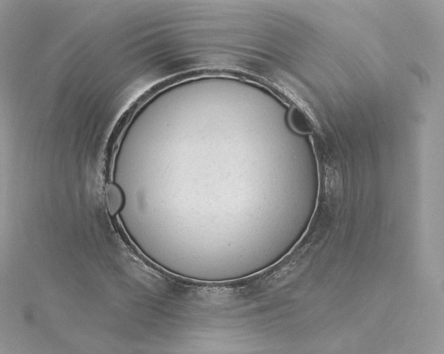 X0000115381068200911171430