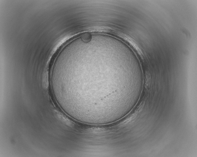 X0000115381075200911171430