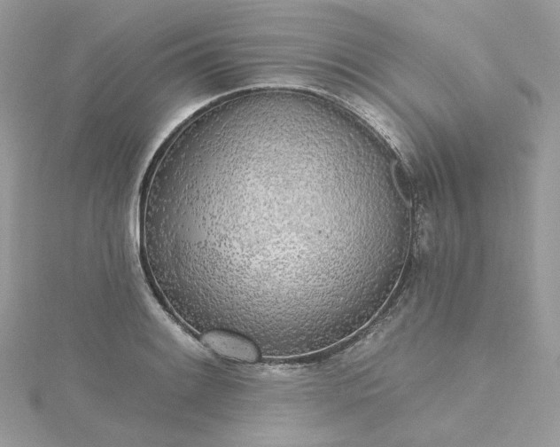 X0000115381084200911171430