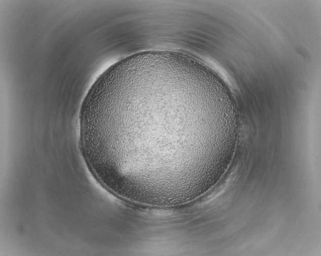 X0000115381095200911171430