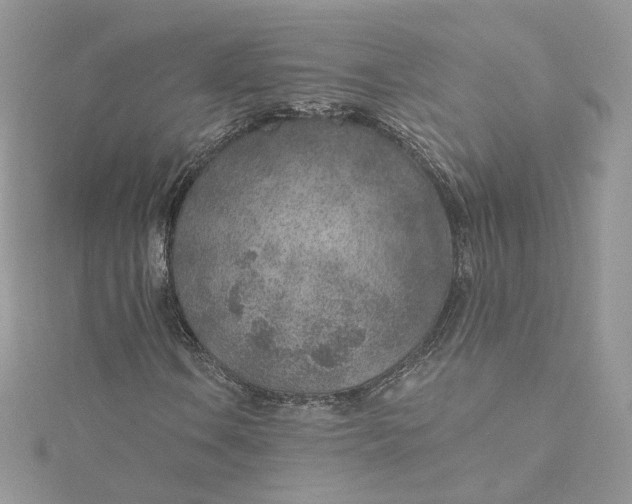 X0000115381106200911171429