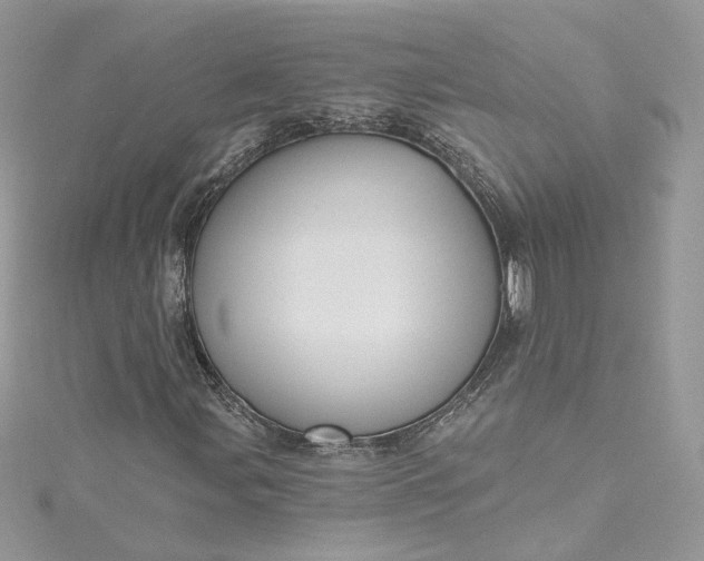 X0000115381107200911171429