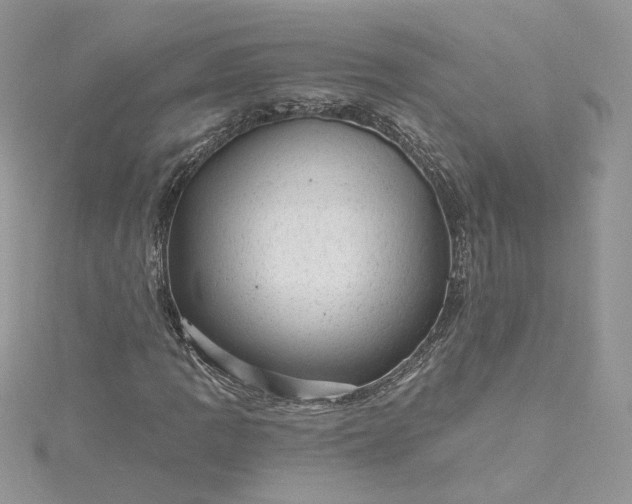 X0000115381109200911171429