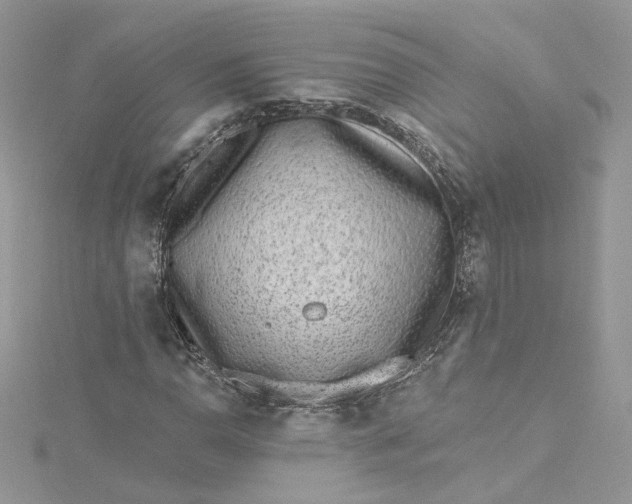 X0000115381110200911171429