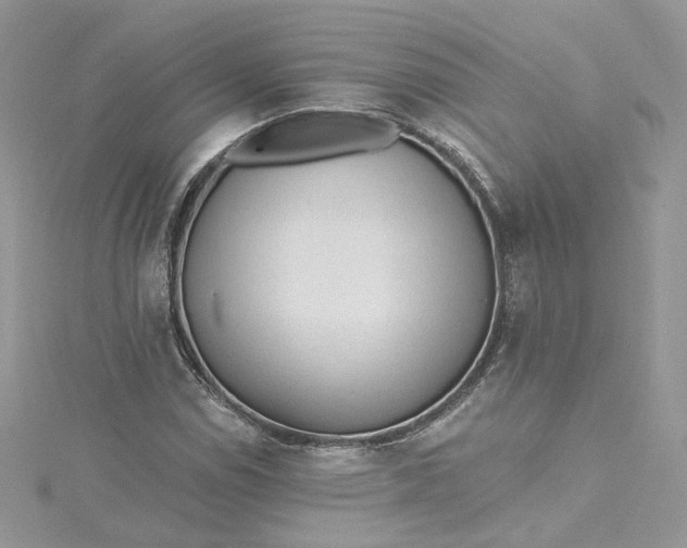 X0000115381114200911171429