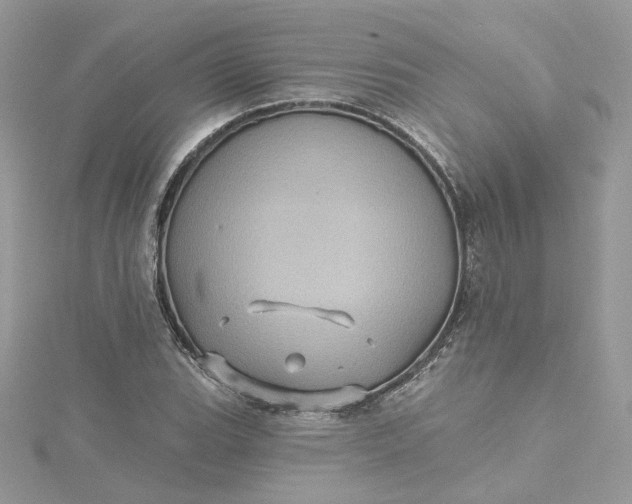 X0000115381119200911171429