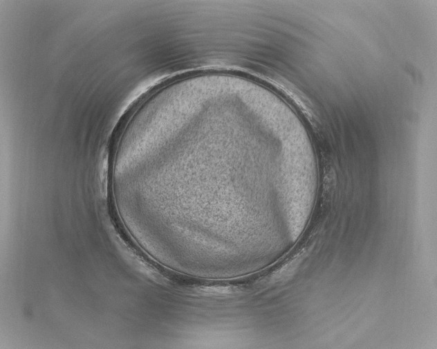 X0000115381126200911171430