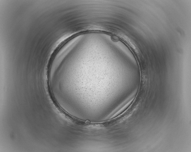 X0000115381133200911171430