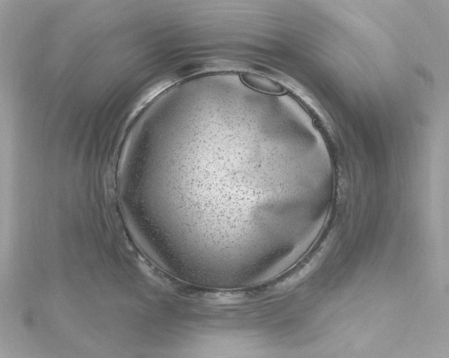 X0000115381145200911171430