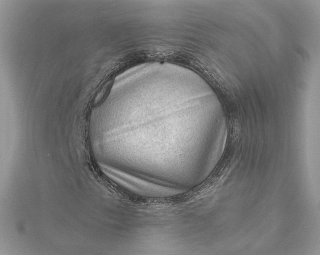 X0000115381153200911171429