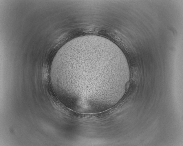 X0000115381154200911171429