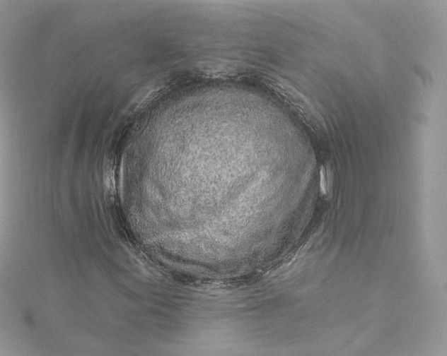 X0000115381155200911171429