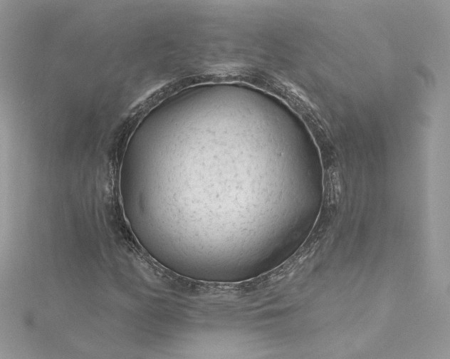 X0000115381158200911171429