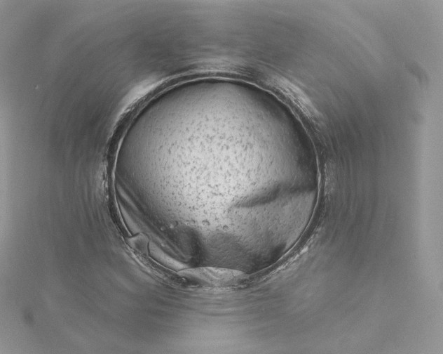 X0000115381164200911171429