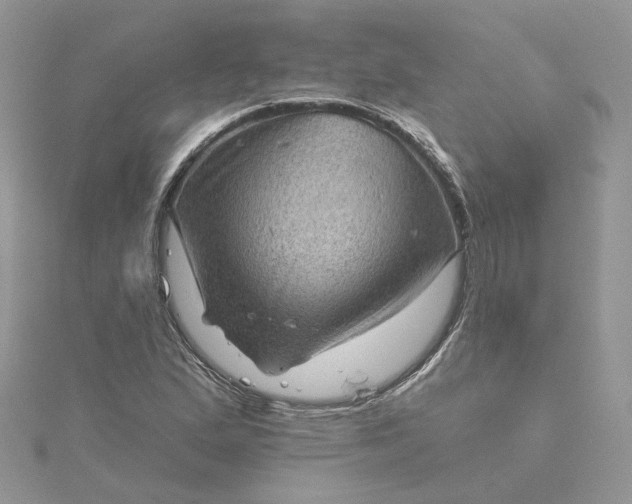 X0000115381167200911171429