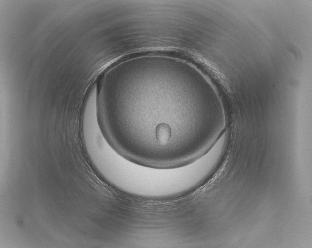 X0000115381169200911171429