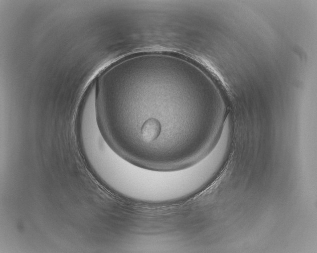 X0000115381173200911171429