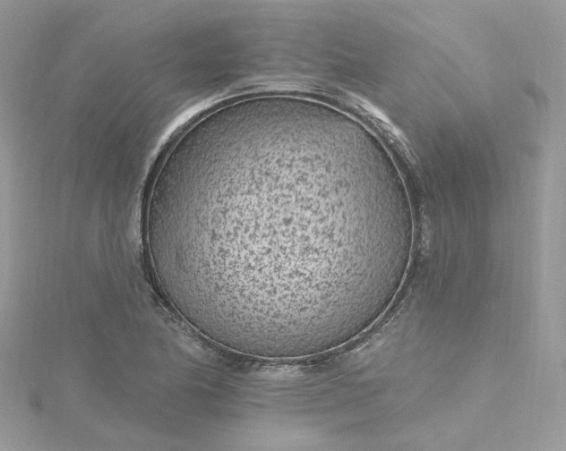 X0000115381174200911171429