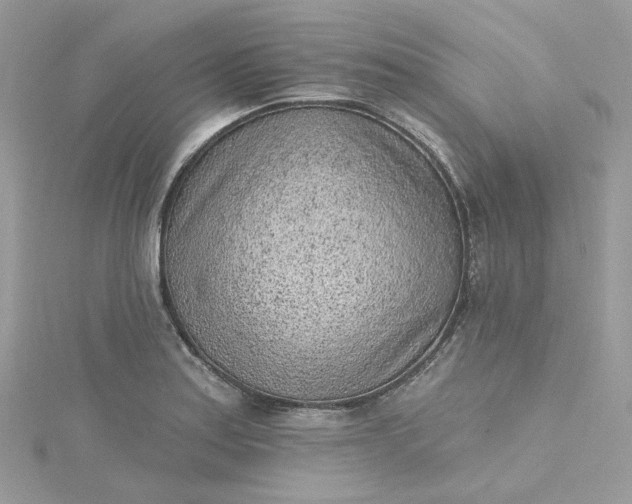 X0000115381179200911171429