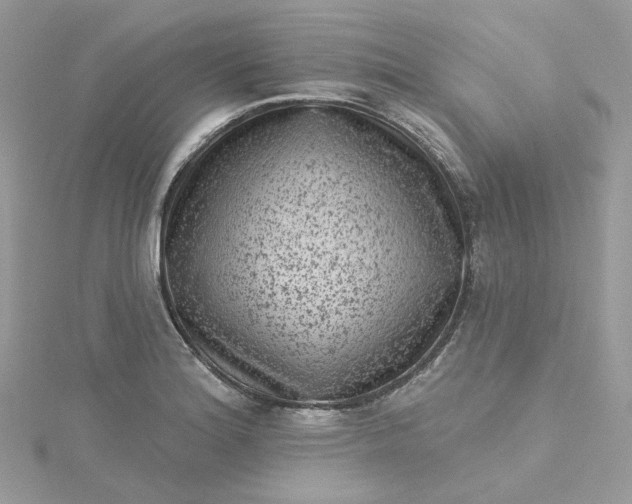 X0000115381180200911171429