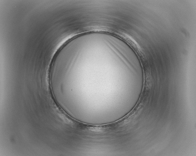 X0000115381182200911171429