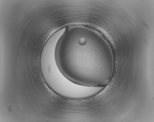 X0000115381185200911171429