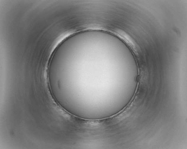 X0000115381190200911171429